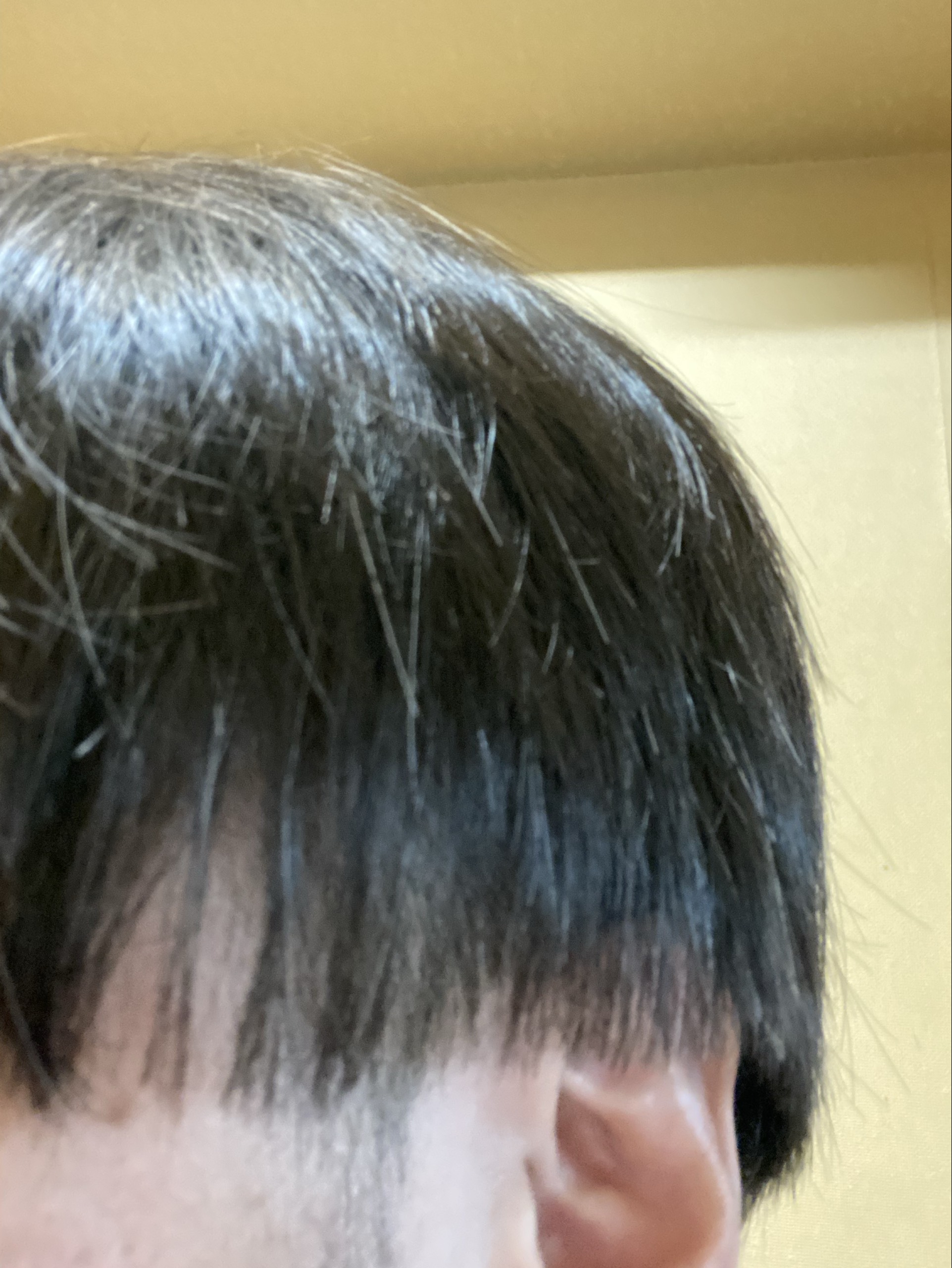 ニシカワ