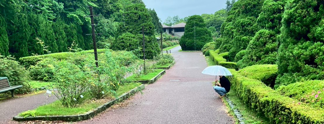 天望月-テンモチ-