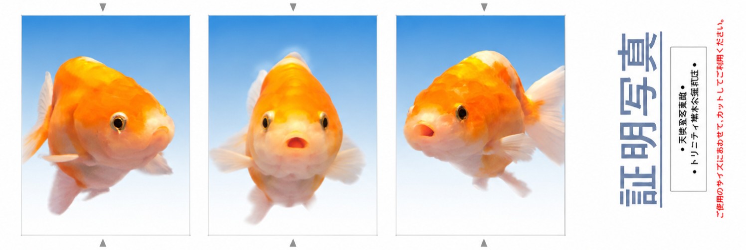ｷﾞｮﾆｿ.