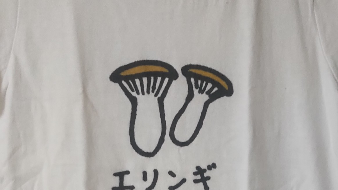 エリバタフラミンゴフライるん之助