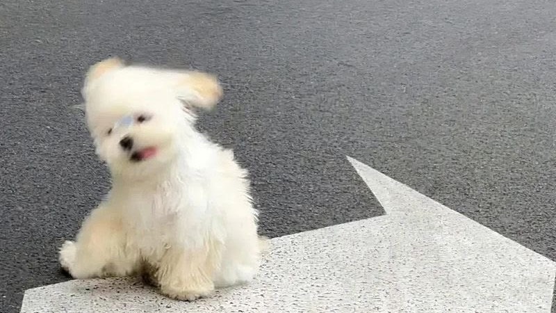 煙
