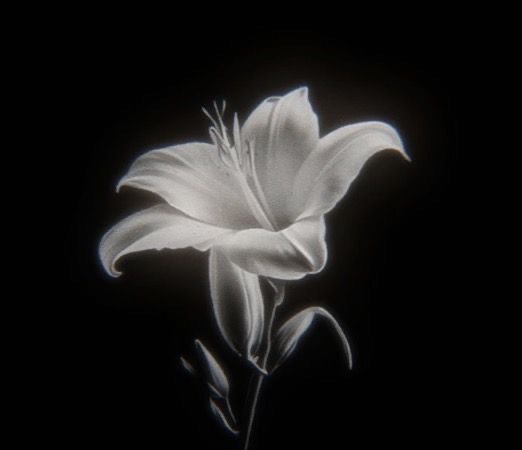 さと