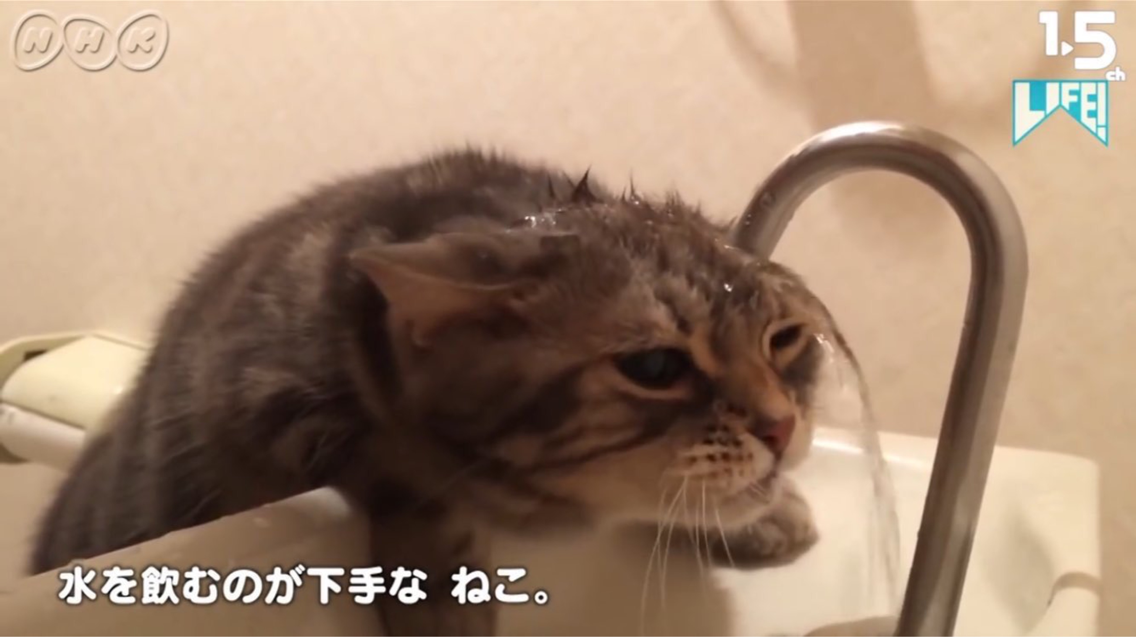 な き