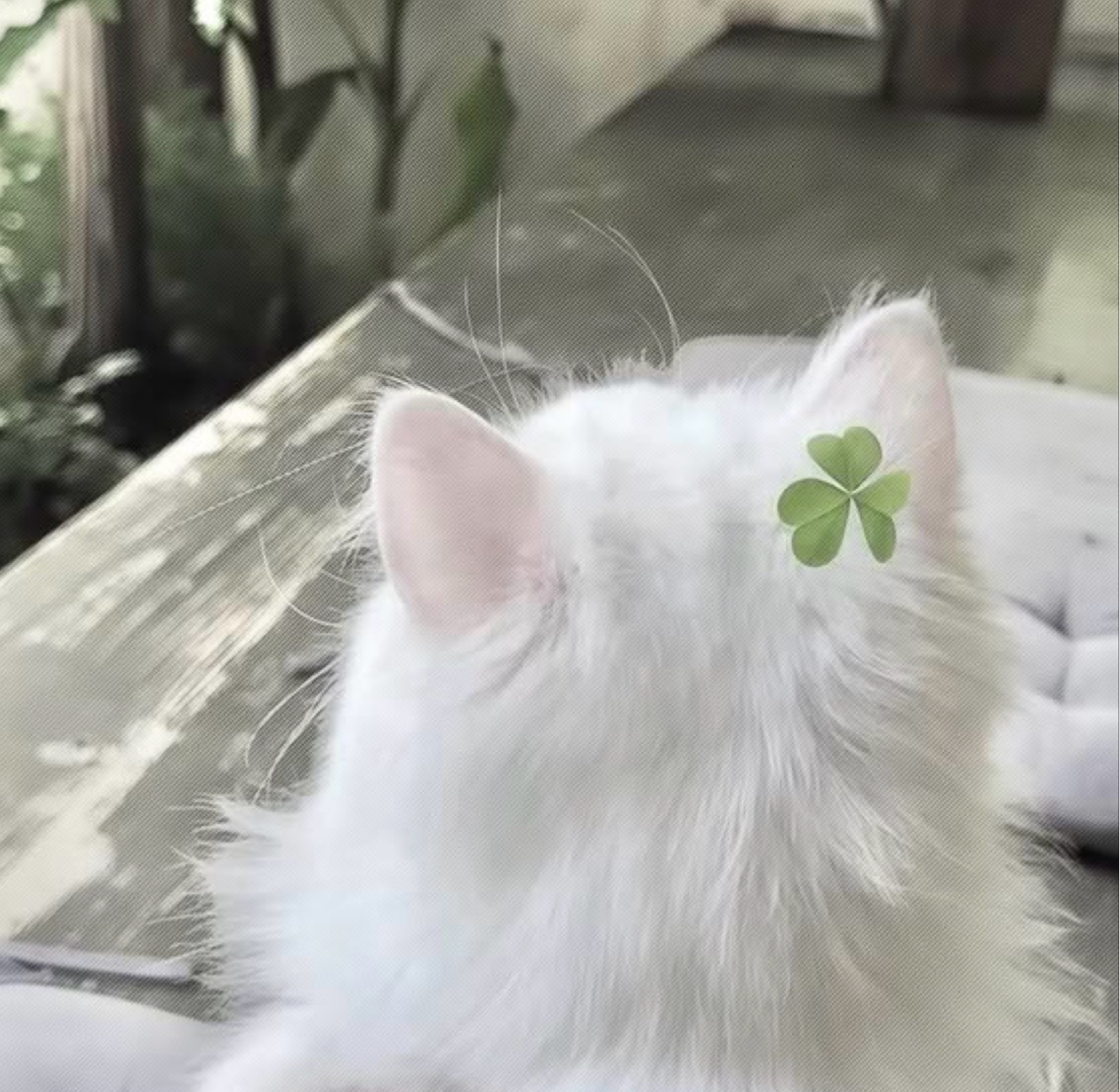 なーち