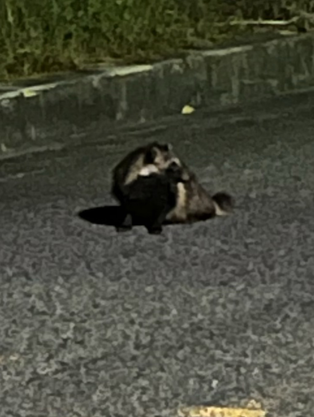 はら