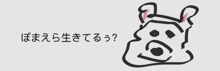 よい⁴゜