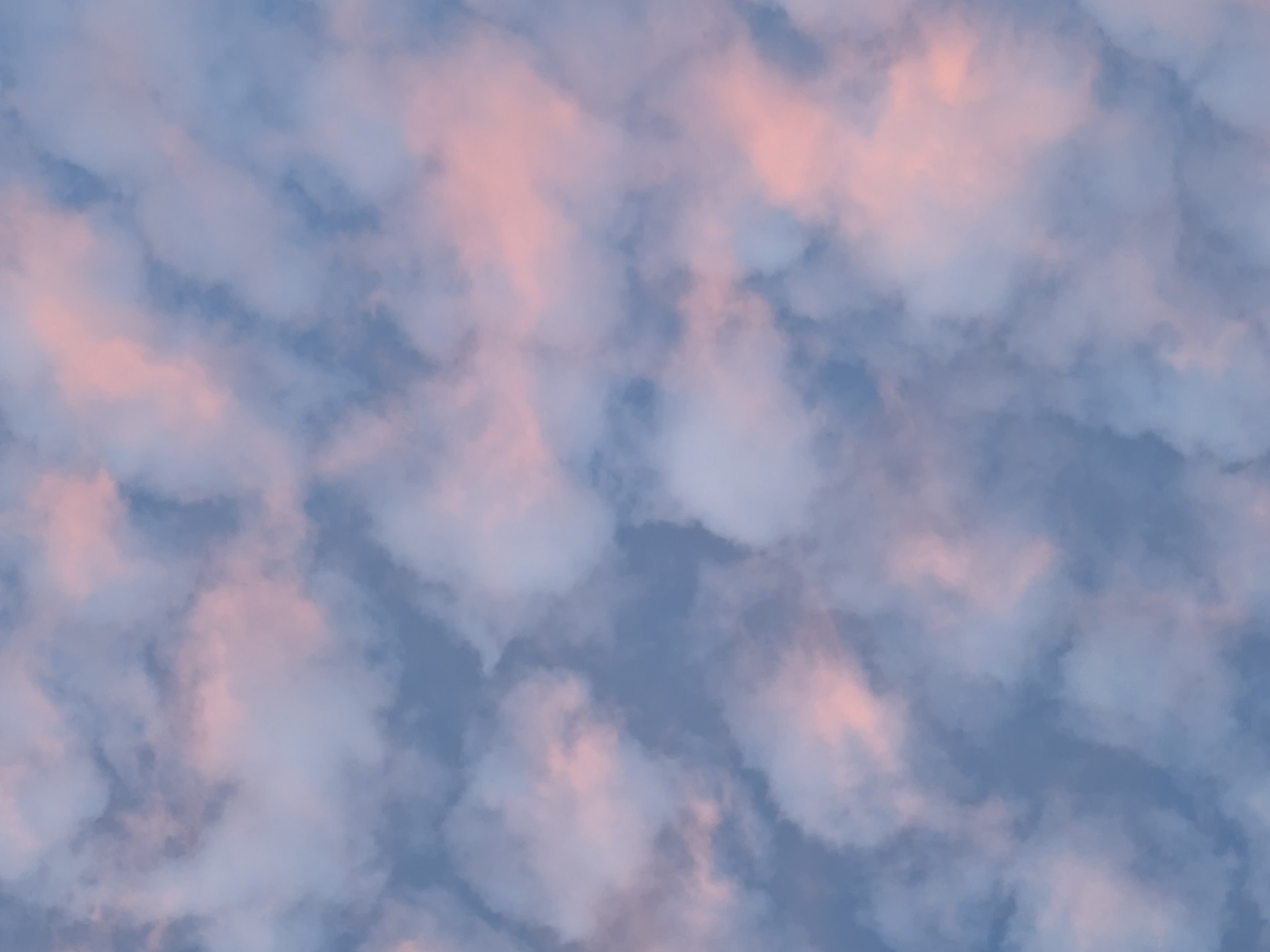 ｽﾍﾟ