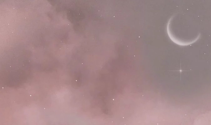 ✧ 𝗻𝗼𝗻𝗼 ✧