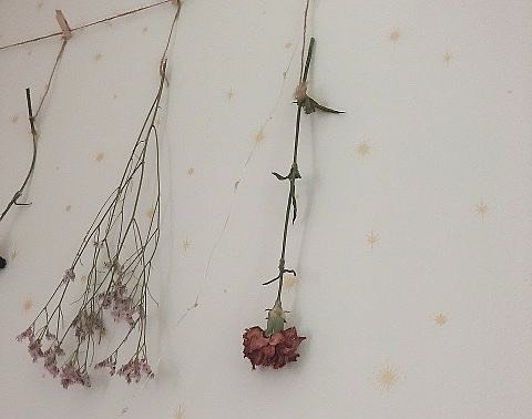 みぃ茶です。