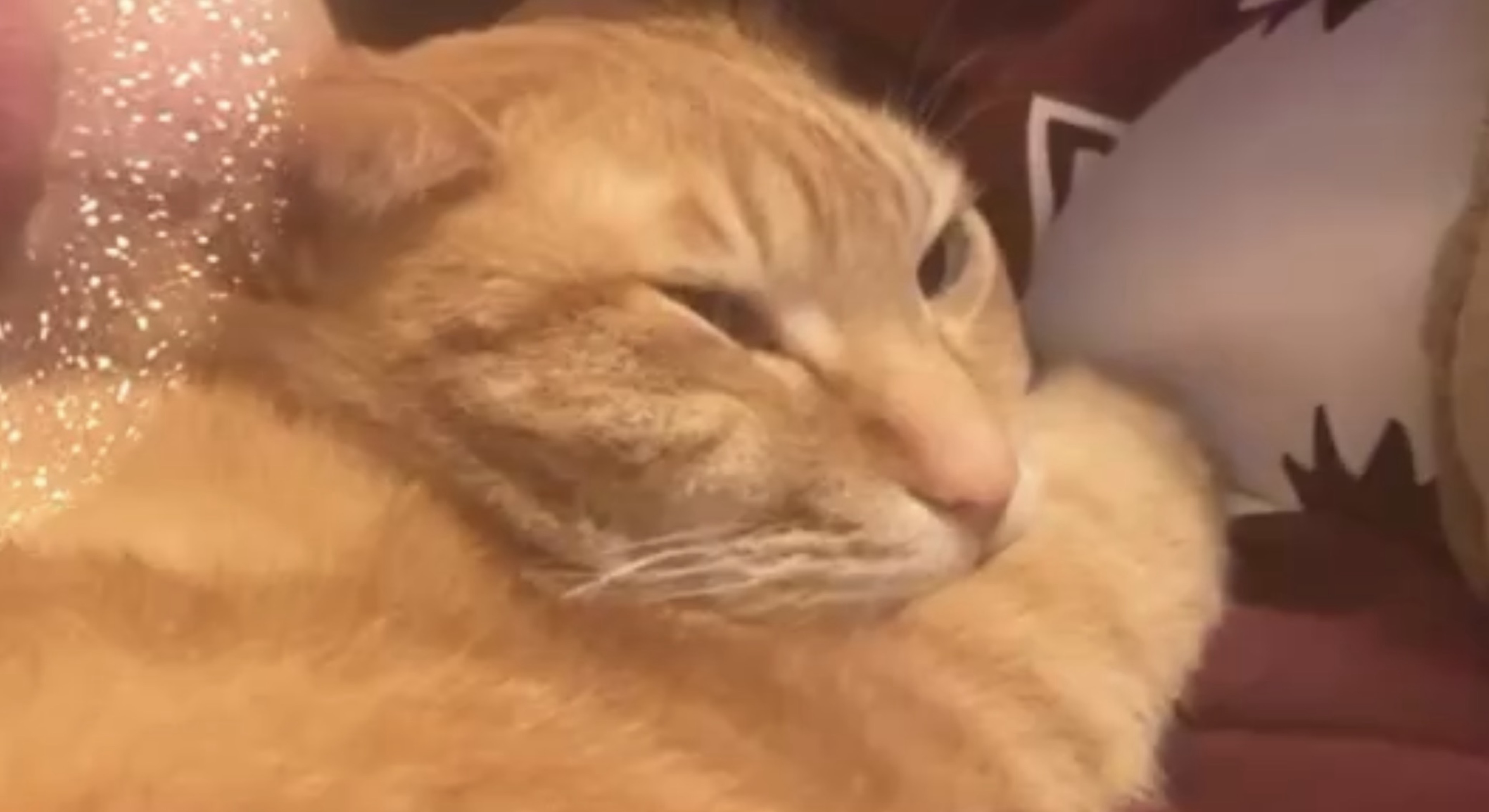 たろう