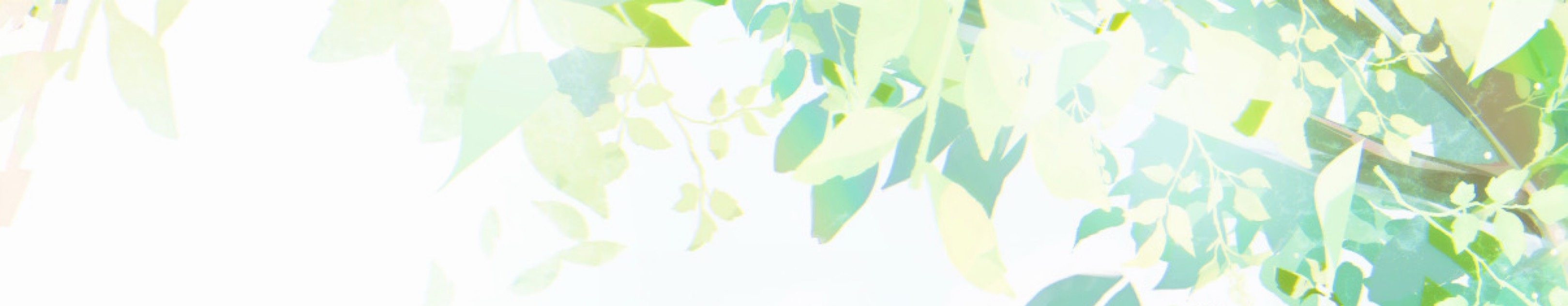 𓃠.♔ルナ/でゅお歌投稿❕