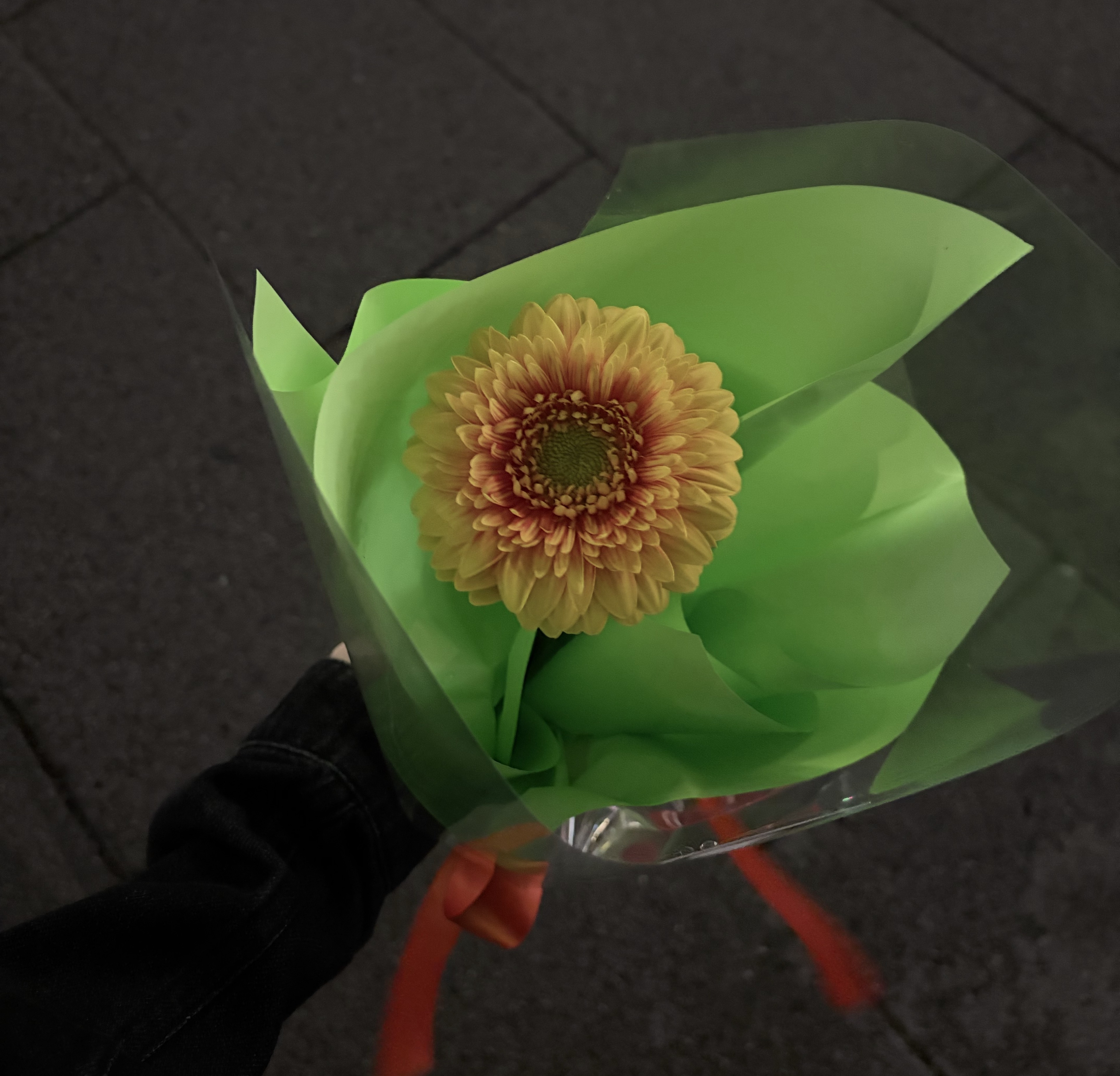 ⭐︎