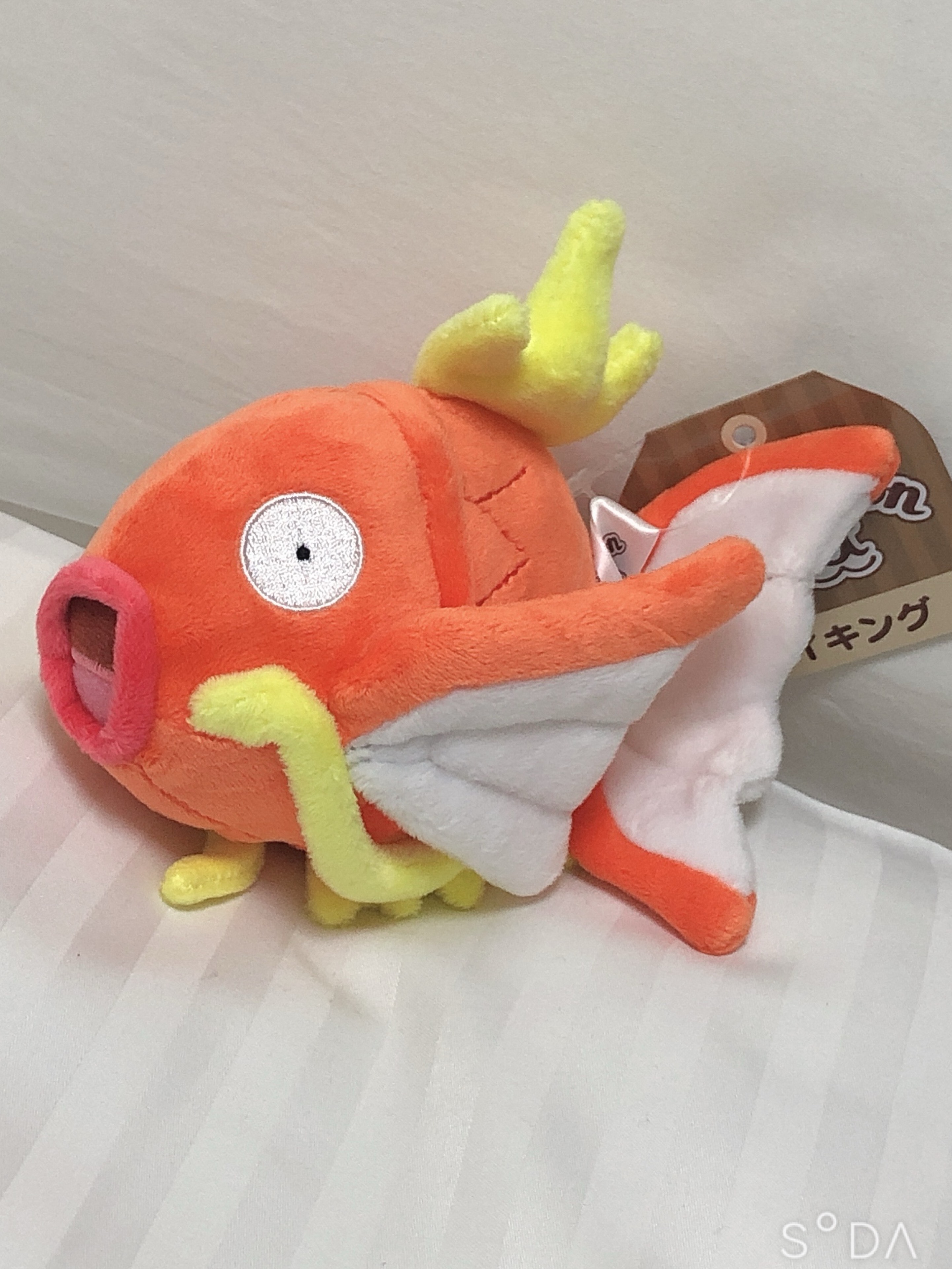 ぷと