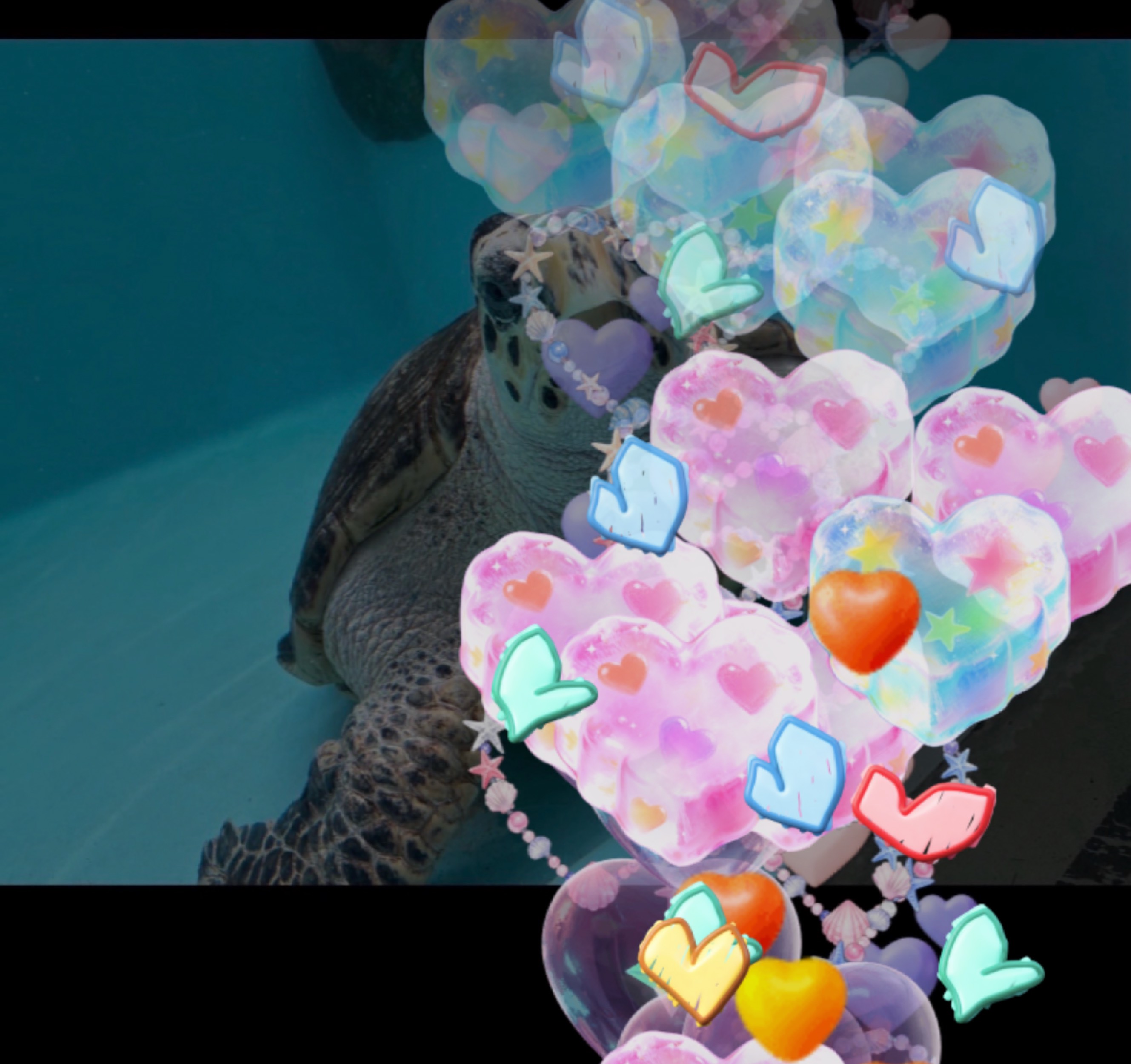 らい⸝⸝