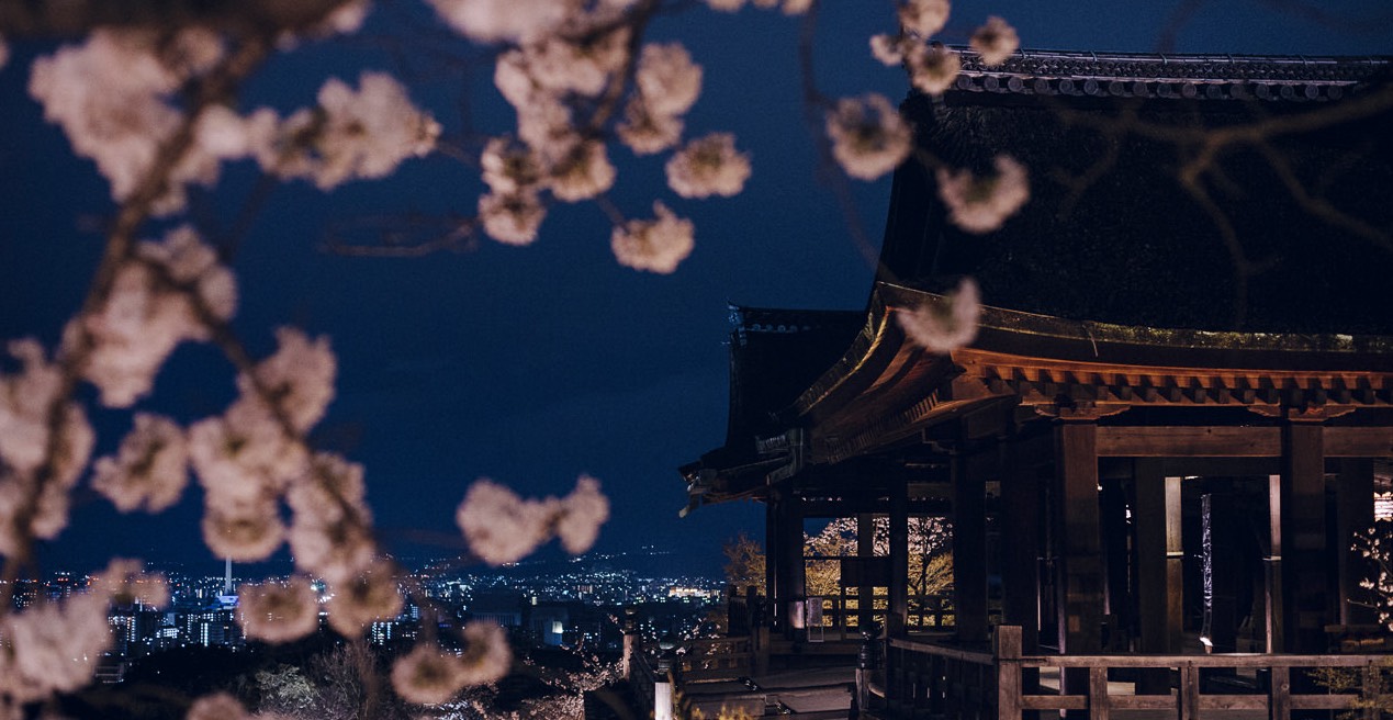 ︎︎ぷ ぷ 。