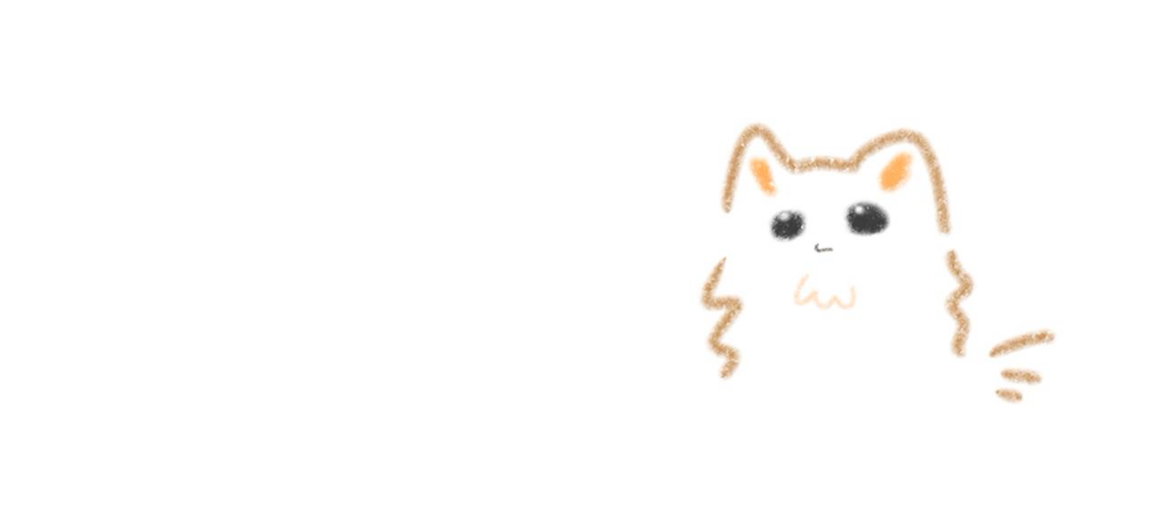ono.ᕀ˖⊹