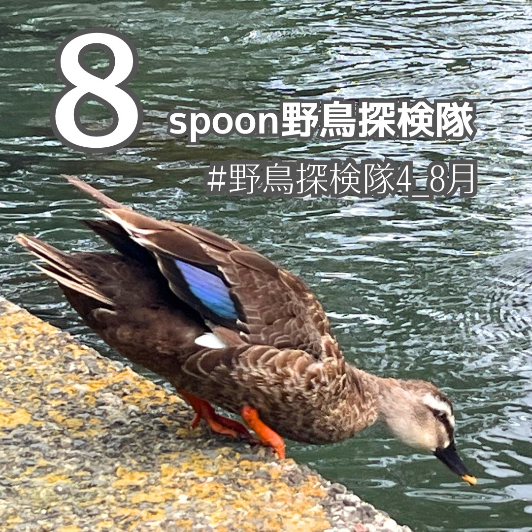 かーかん🐦*♪♫