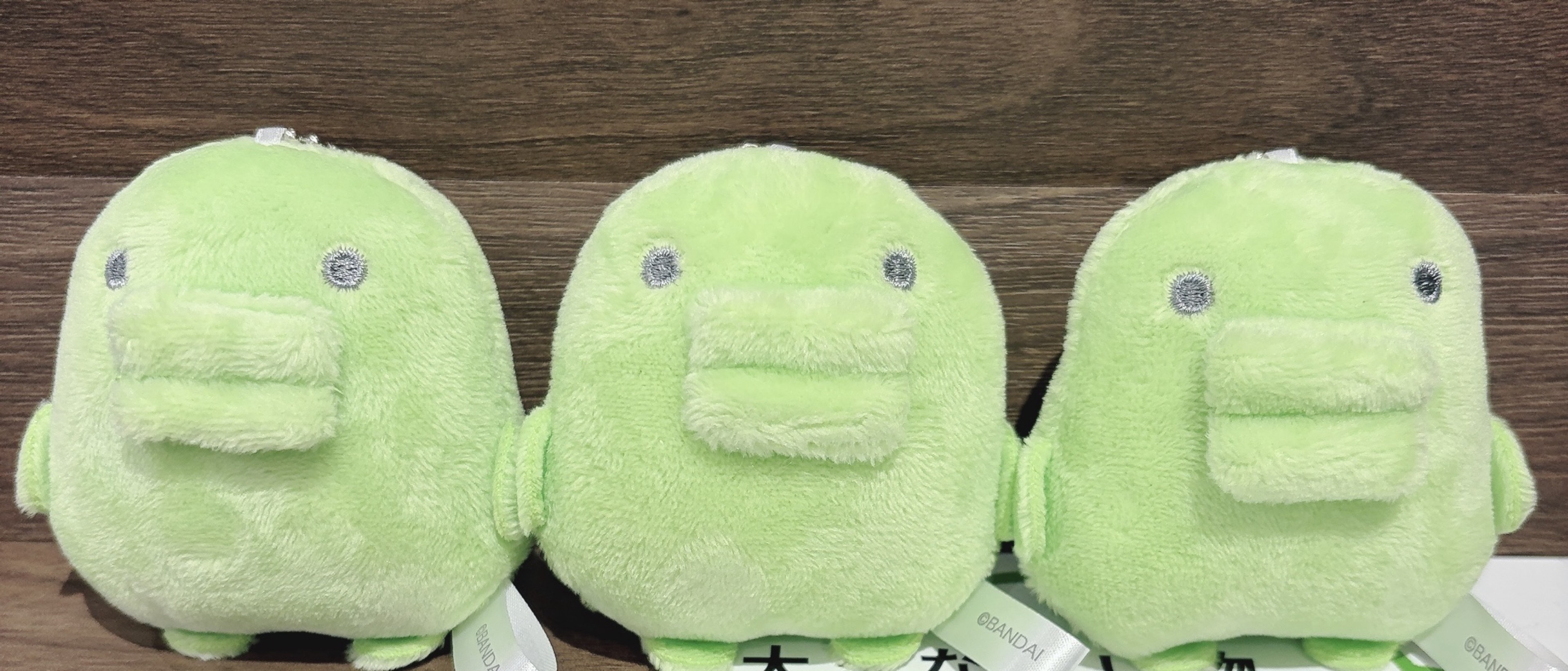 はぷ