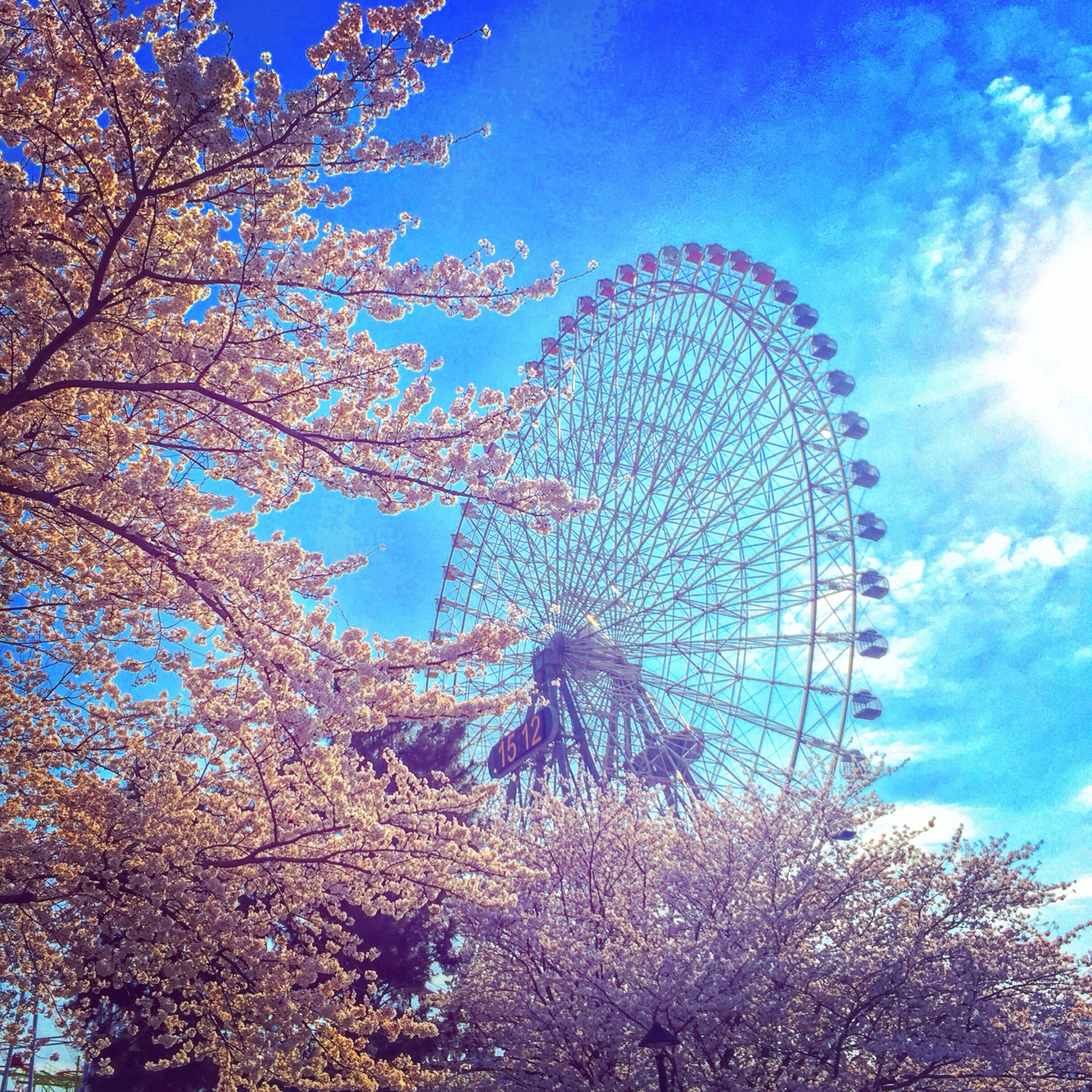 ちょの🍊