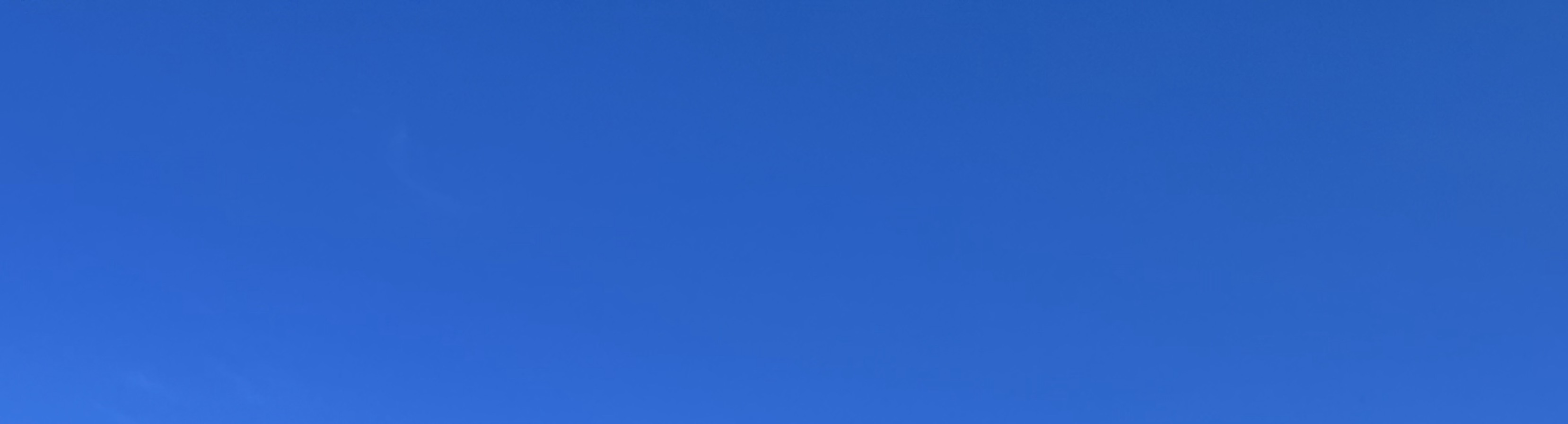 あなひょう
