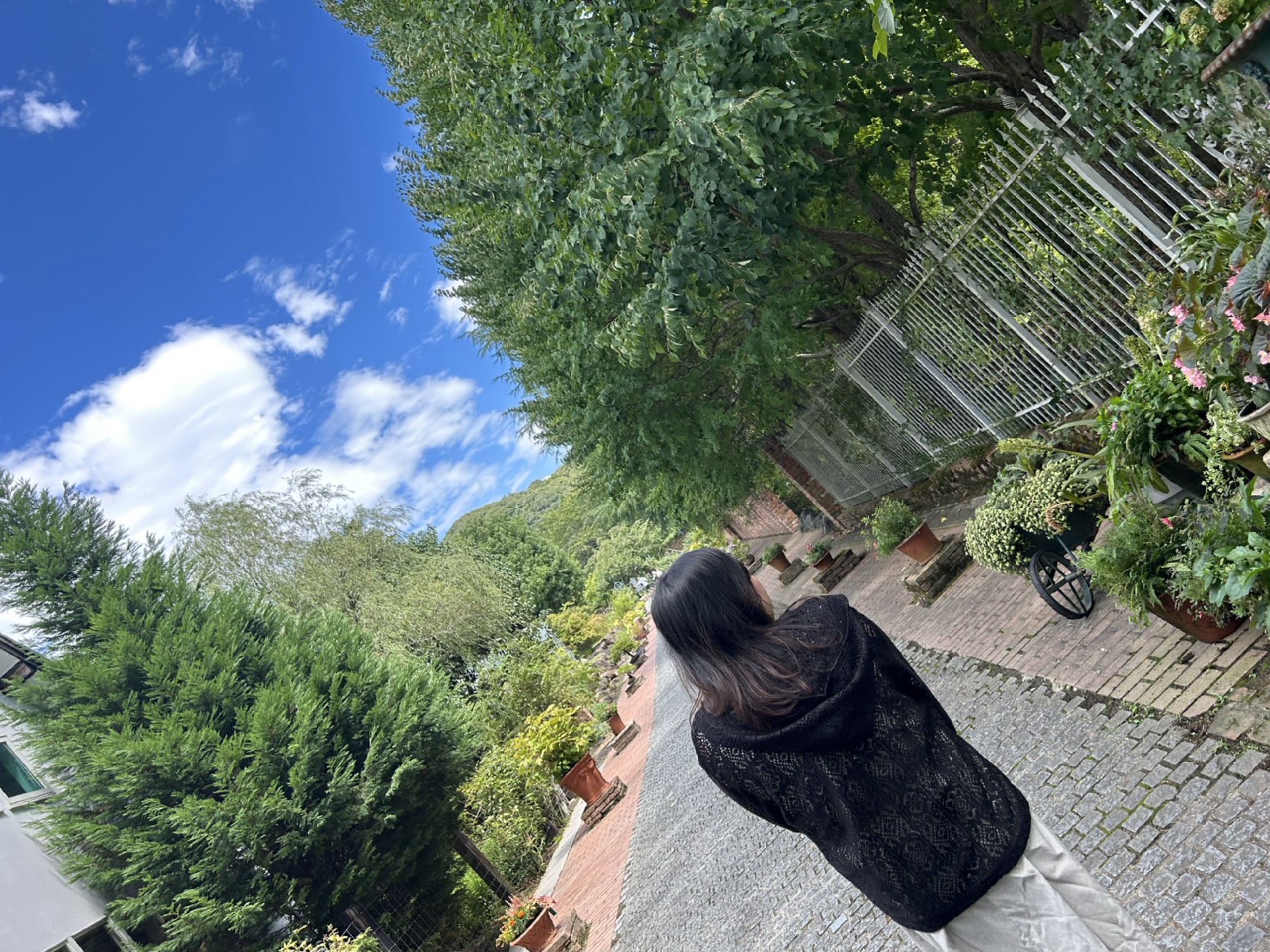 しーやん( '-' ワタシハウォンナ
