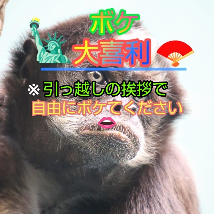 『小野 野郎 🤙』𓃠