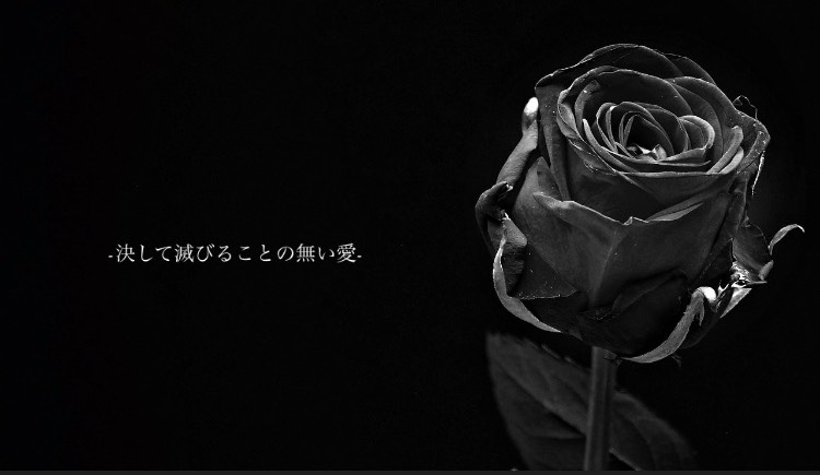 ༊⊹゚𝓡𝓲𝓷𝓴𝓪
