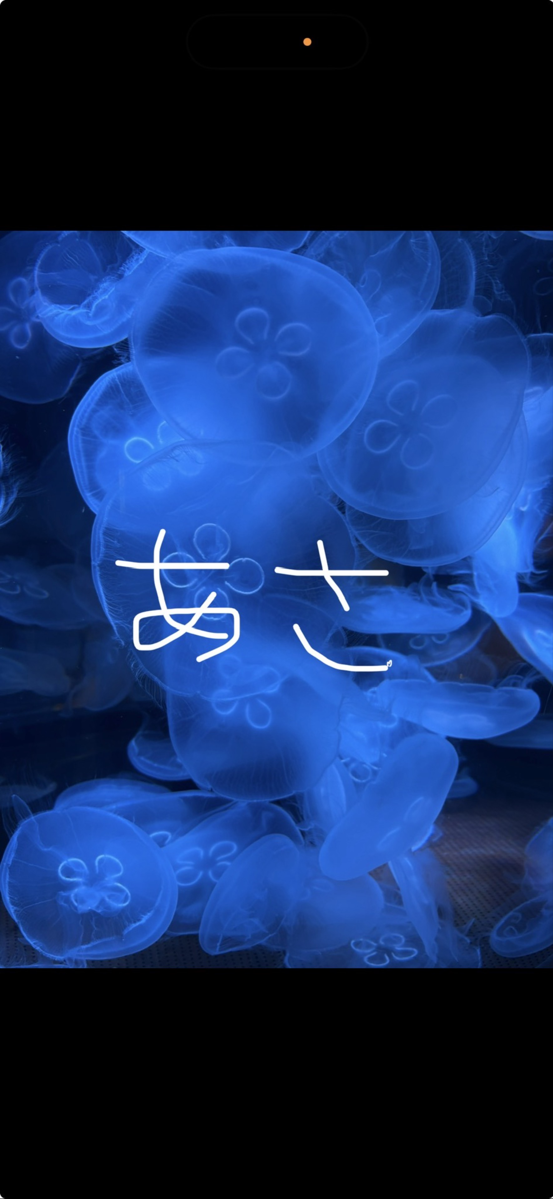 ð¢ðŽð¢