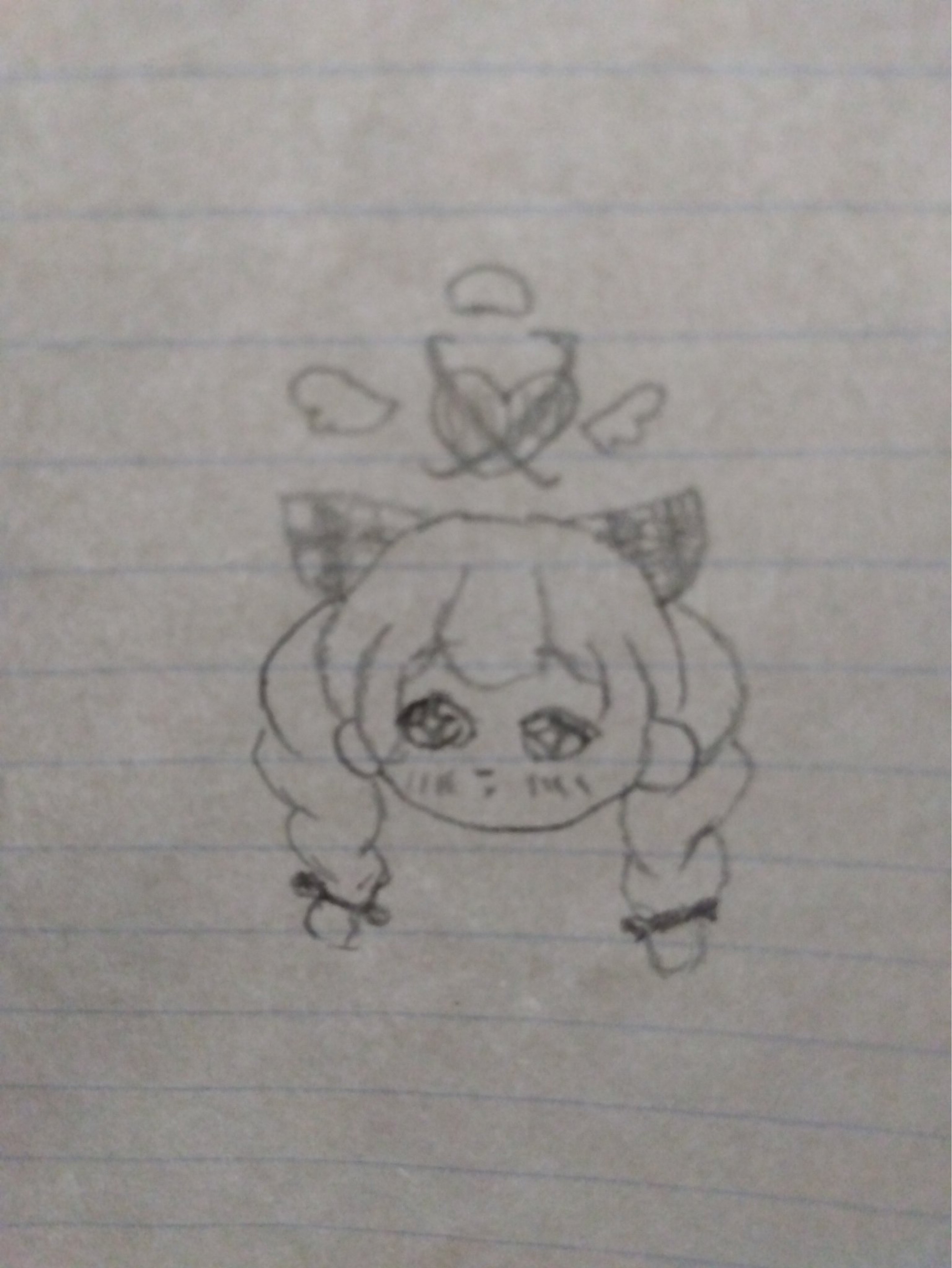 蝶紐