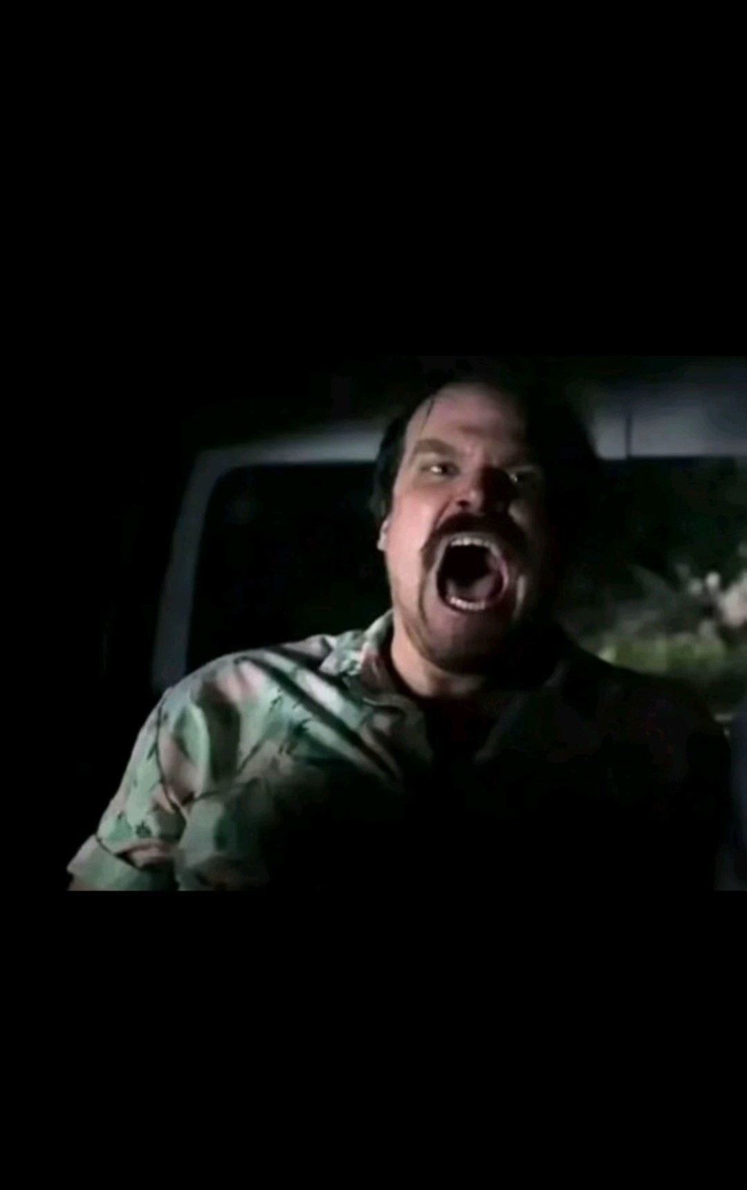 🌿パクチー松本ｷｮｼ❤ばやしこ❤🌿