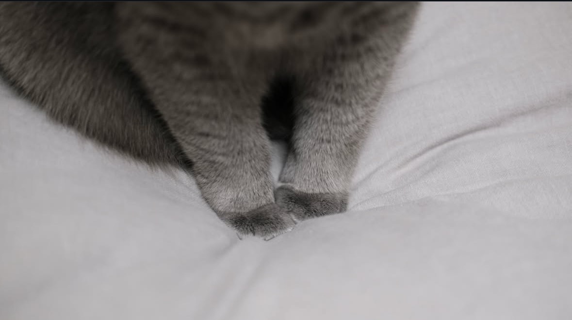 揺らぎ。