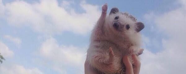 レジェンドさき*･ﾟ