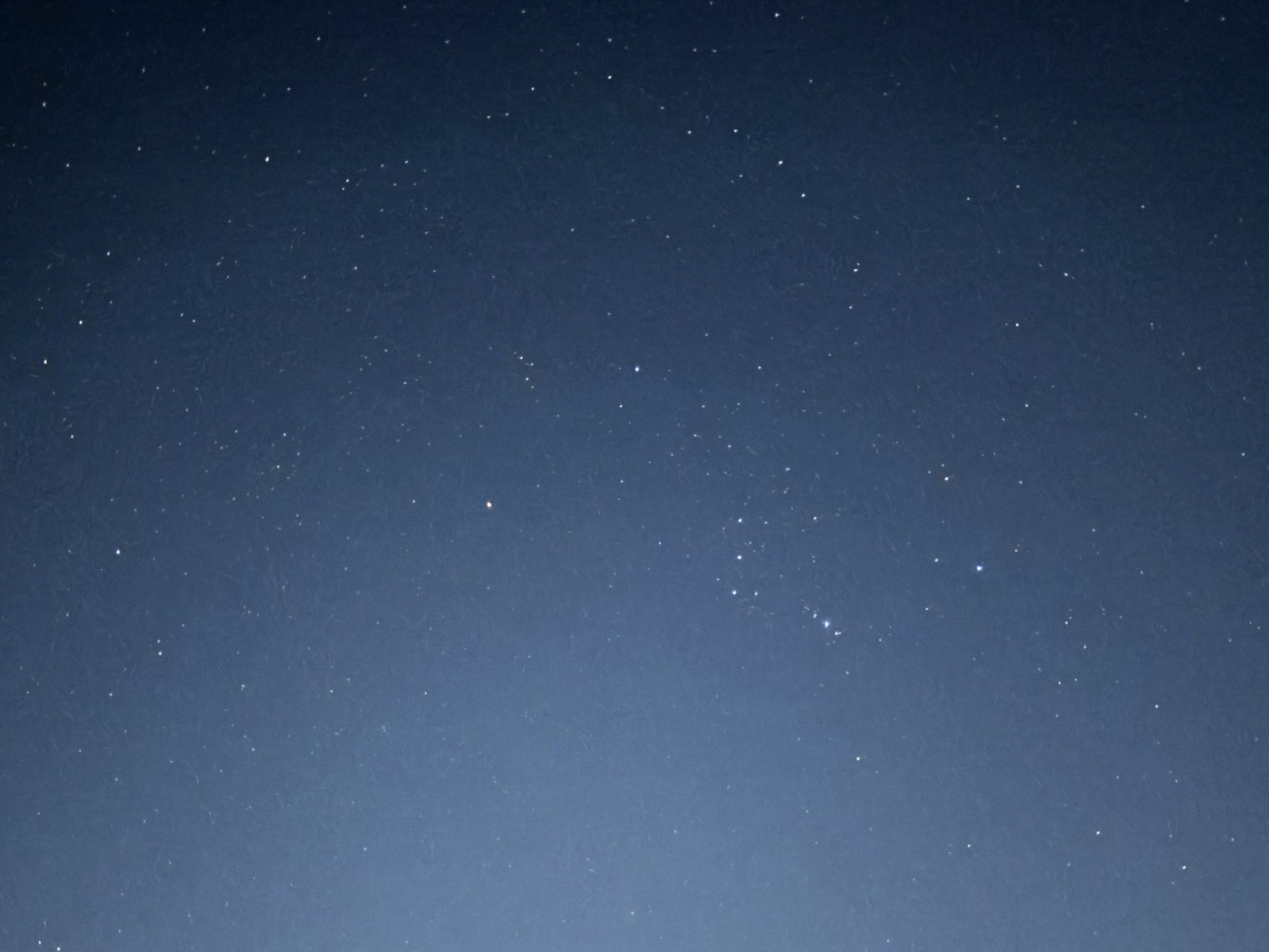 兎碧~𝐓𝐨𝐚~