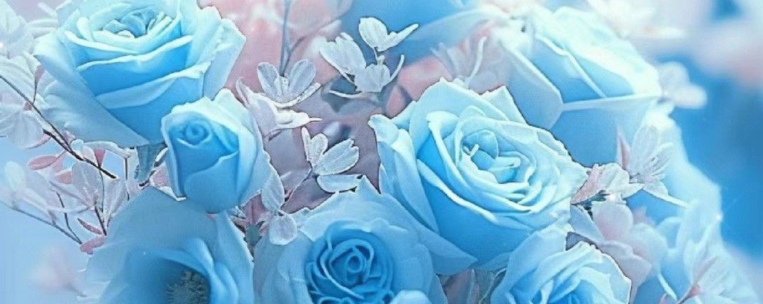 ꈤ ユウコ🔹