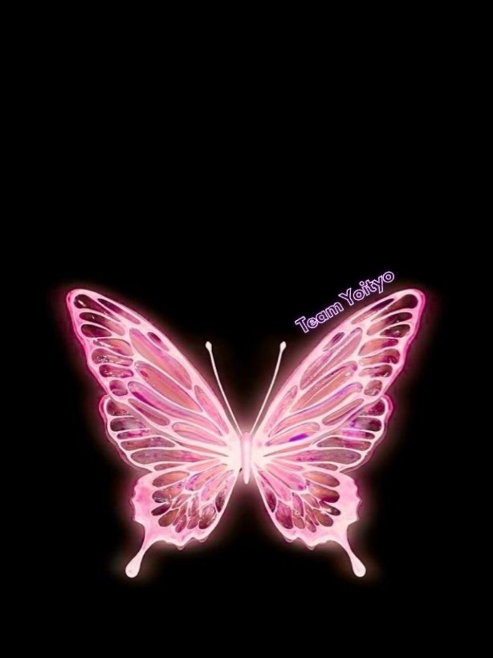 ᗰ⋆͛❤︎美桜-Mio-