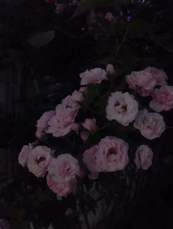 𝟏𝐦𝐚𝟏