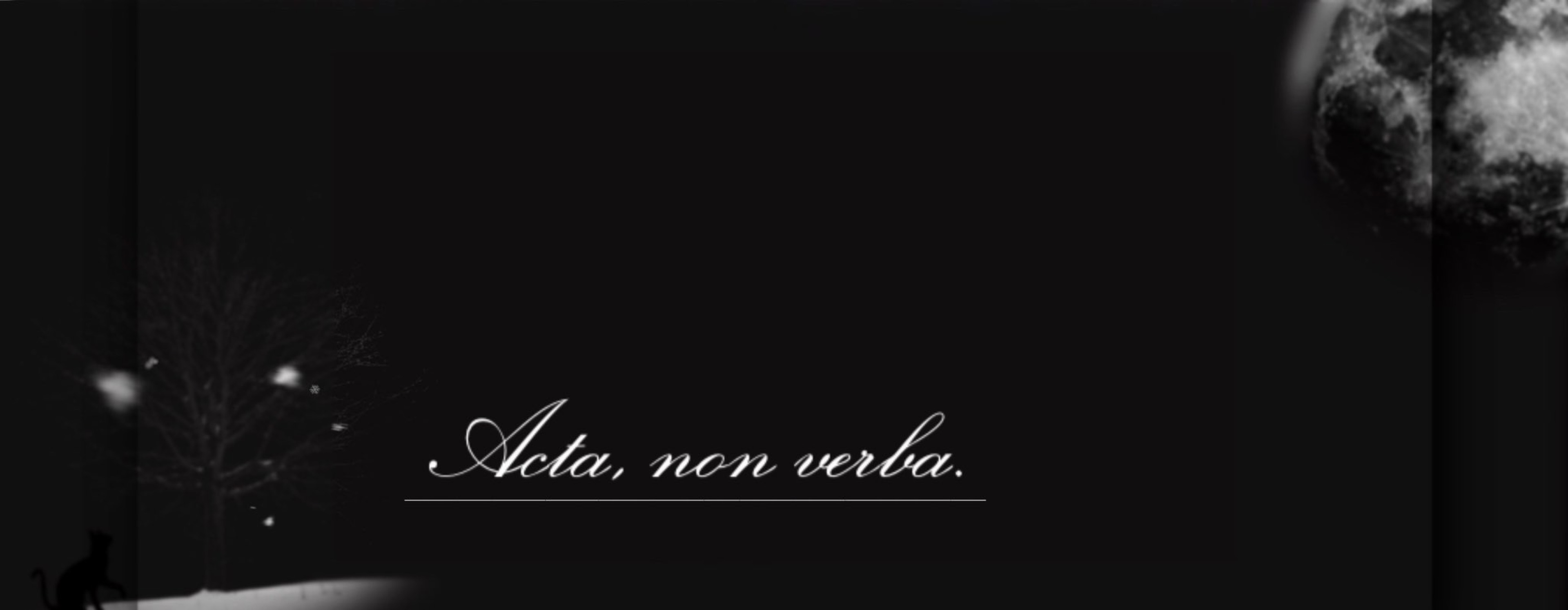 名前は、まだ無い。