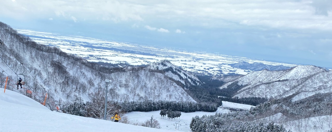 🌾とぅーさん🌾