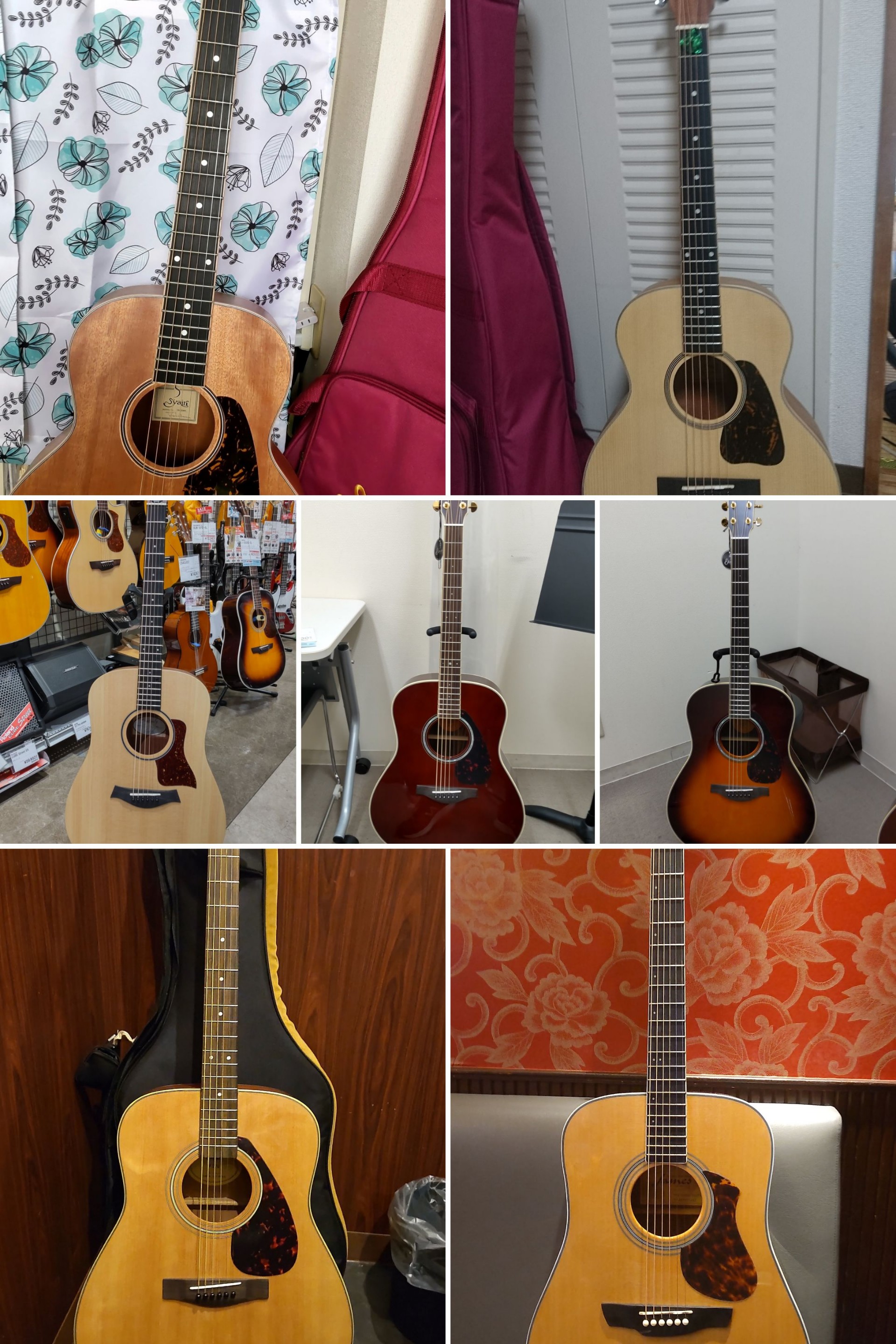 けいけい⭐🎶⭐🎶⭐