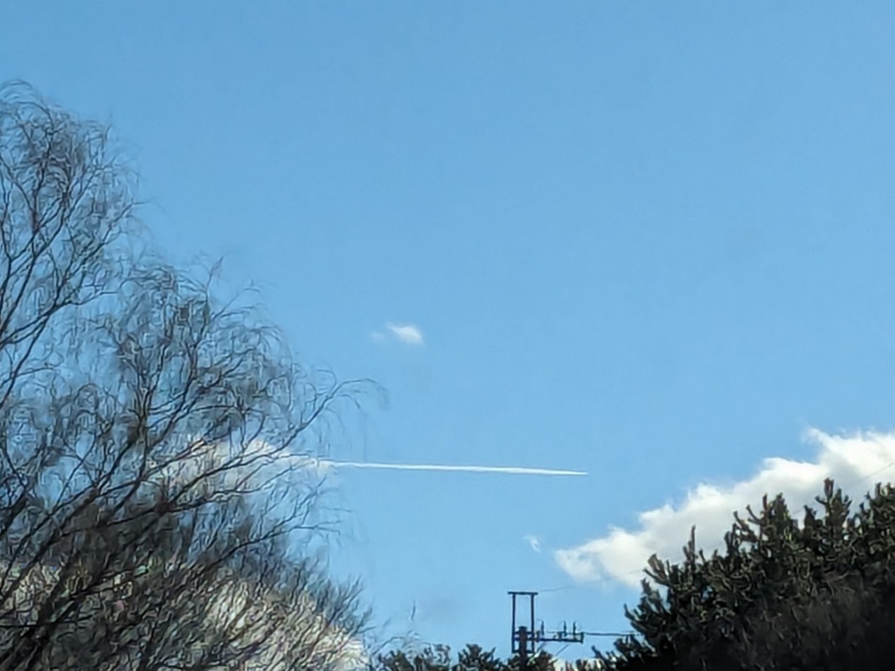 さっちゃん(芋🐼)。