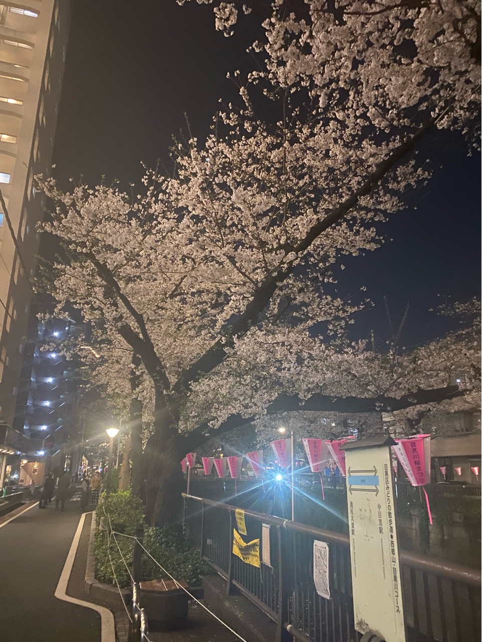 ごまおにぎり