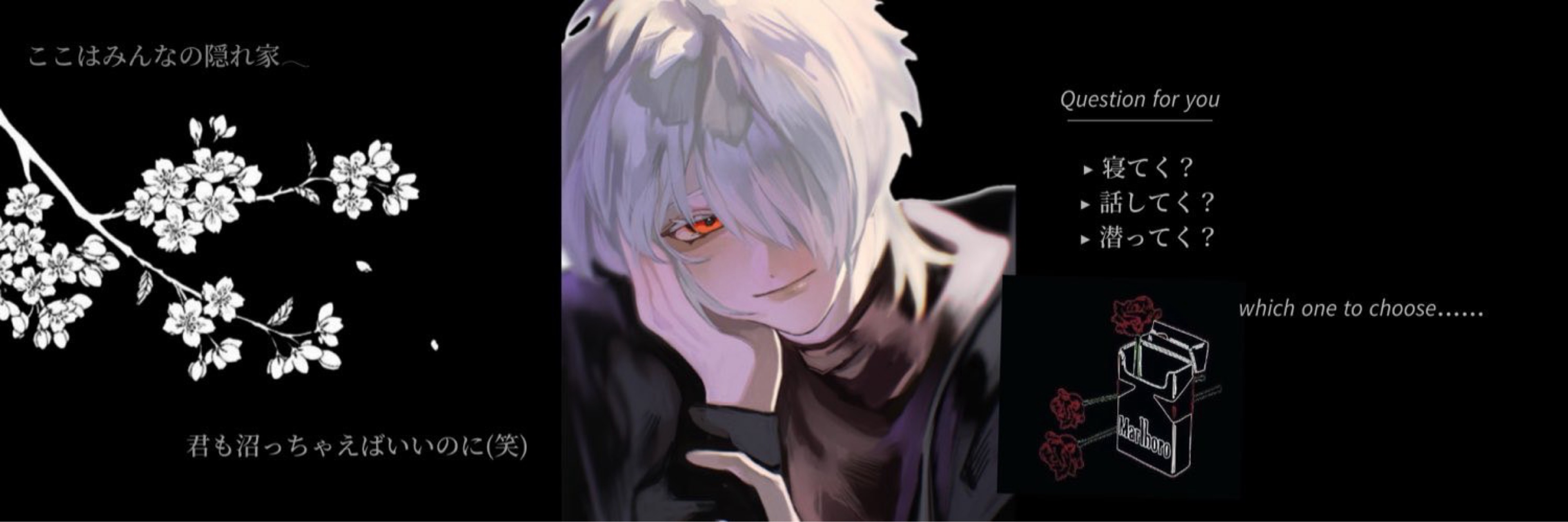 ☪︎·̩͙‬ 朔