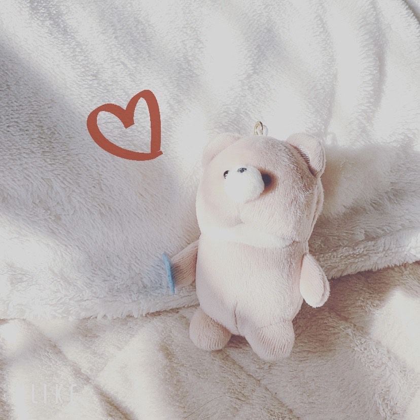 ꪑᴥ ま な。ꈤ