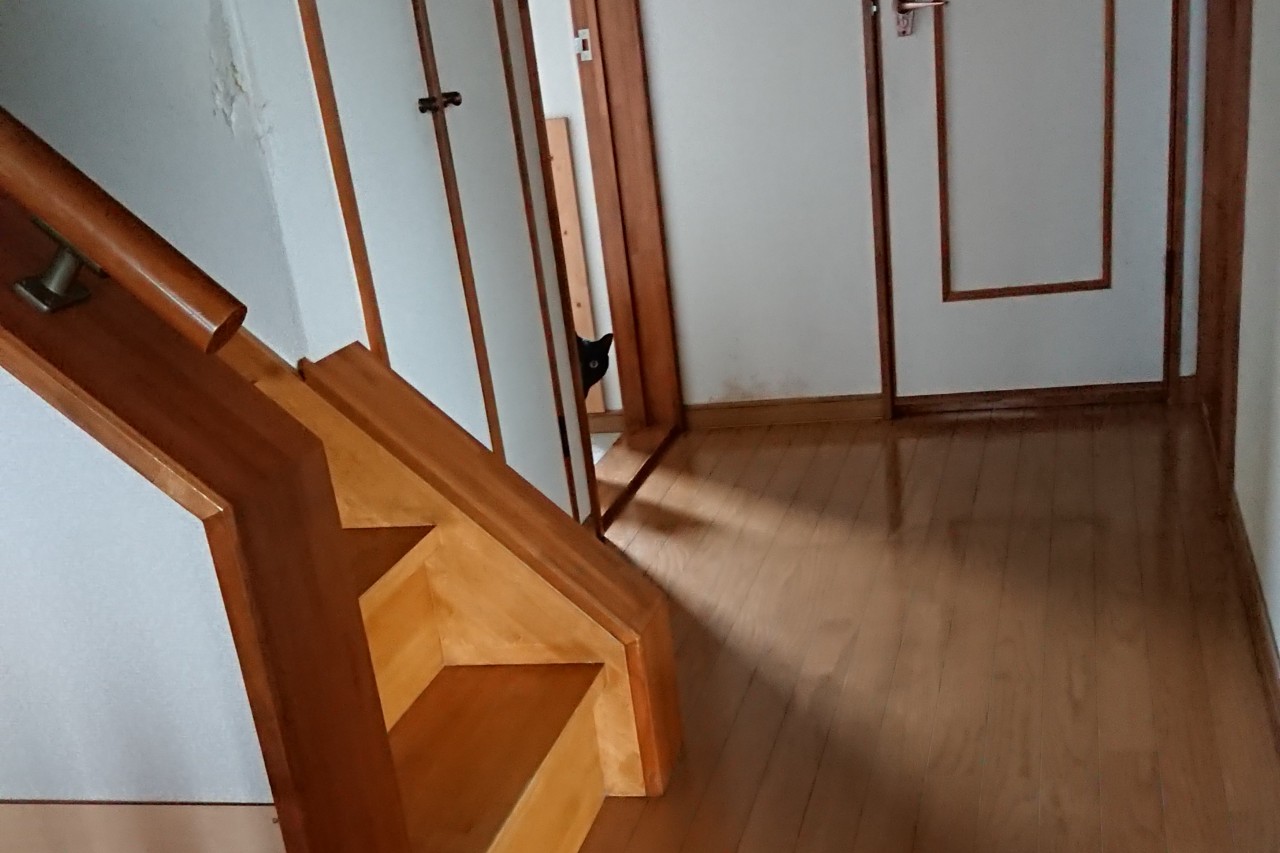 ネコ魂・ロータス2