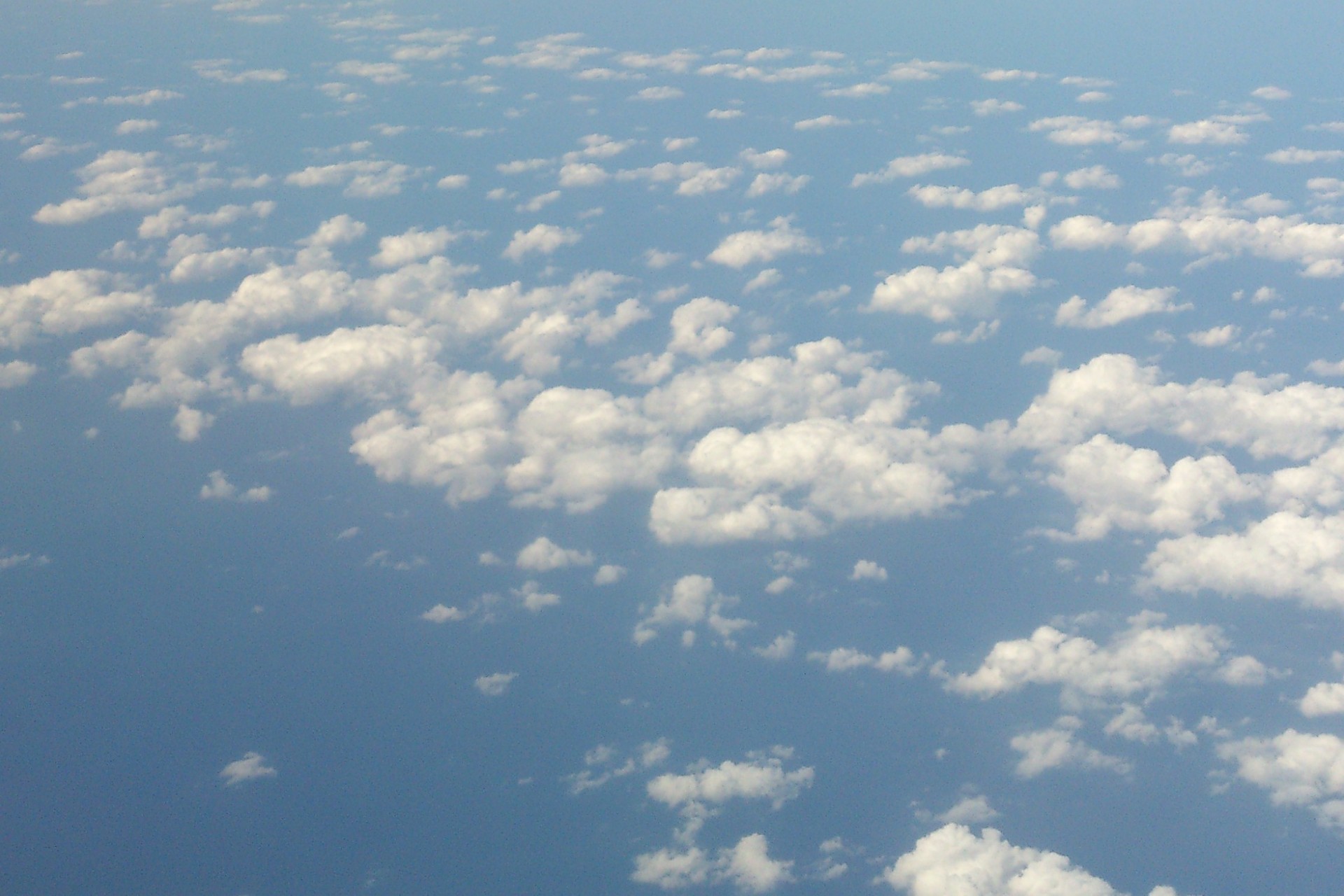 あっこちゃん。