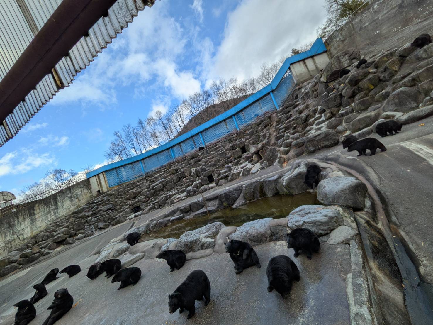 むぅ猫👤🐱🍅