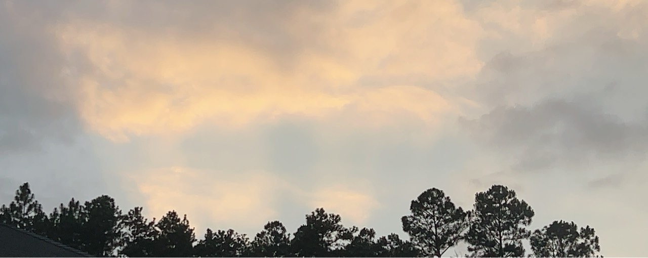 もみじ(旧カルボナーラ)