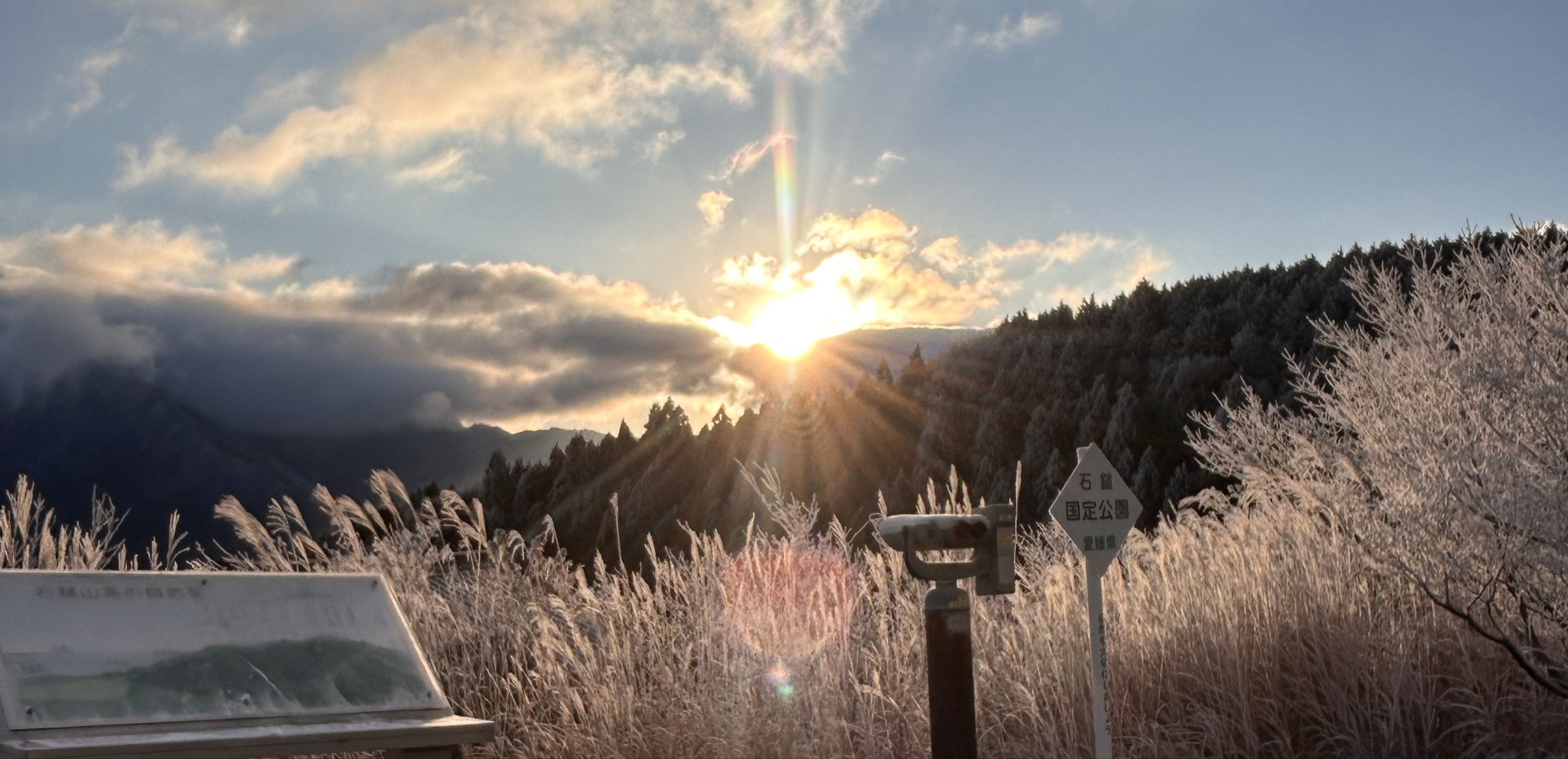 てんちゃんᰔᩚ ̫