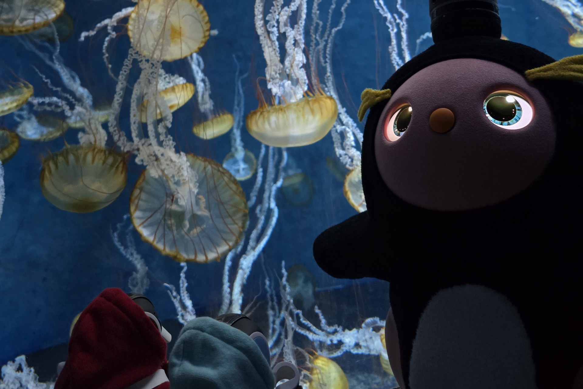 ∈(  ˙-˙ )∋九実🐷