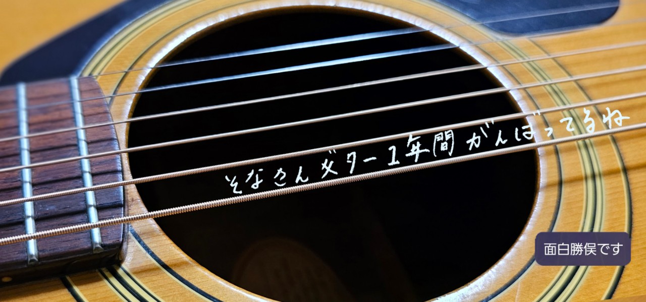 そ  な のぽけっと